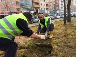 REF&Uuml;JLER KIŞ BİTKİLERİ İLE S&Uuml;SLENİYOR