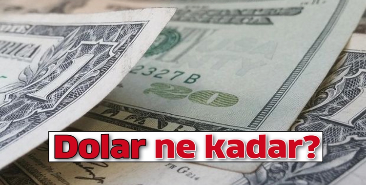 Dolar ne kadar?