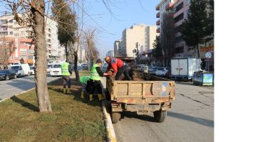 REF&Uuml;JLER, KIŞ BİTKİLERİ İLE S&Uuml;SLENİYOR