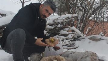 TOPRAK ALTINDAKİ ŞALGAM &Ccedil;IKARILIYOR