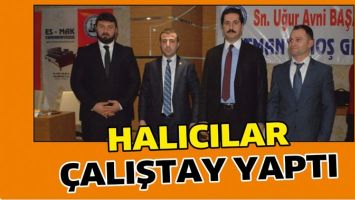 HALICILAR &Ccedil;ALIŞTAY YAPTI