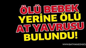 &Ouml;L&Uuml; BEBEK YERİNE &Ouml;L&Uuml; AT YAVRUSU BULUNDU!