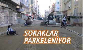 PARKE &Ccedil;ALIŞMALARI S&Uuml;R&Uuml;YOR