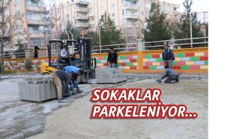 SOKAKLAR EŞ ZAMANLI PARKELENİYOR