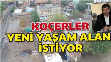 KO&Ccedil;ERLER, YENİ YAŞAM ALANI İSTİYOR