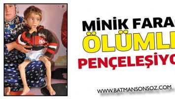 MİNİK FARAC, &Ouml;L&Uuml;MLE PEN&Ccedil;ELEŞİYOR