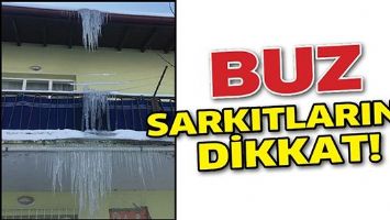 BUZ SARKITLARINA DİKKAT!