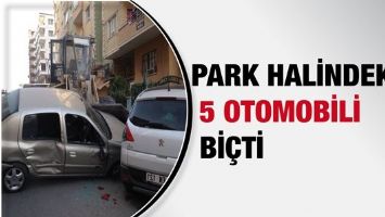 PARK HALİNDEKİ 5 OTOMOBİLİ Bİ&Ccedil;Tİ