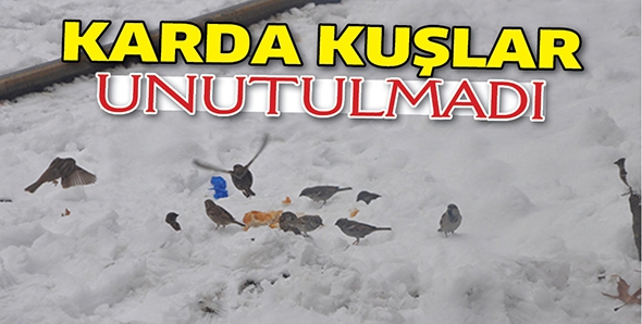 KARDA KUŞLAR UNUTULMADI