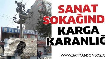 SANAT SOKAĞINDA KARGA KARANLIĞI