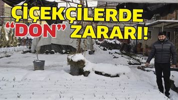 &Ccedil;İ&Ccedil;EK&Ccedil;İLERDE &ldquo;DON&rdquo; ZARARI!