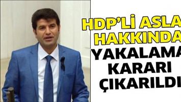 HDP&rsquo;Lİ ASLAN HAKKINDA YAKALAMA KARARI &Ccedil;IKARILDI