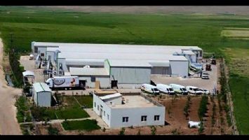 DİCLE YUMURTA HİZMET VERMEYE DEVAM EDİYOR