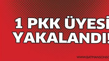 1 PKK ÜYESİ YAKALANDI!