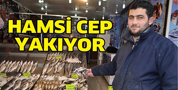 HAMSİ CEP YAKIYOR