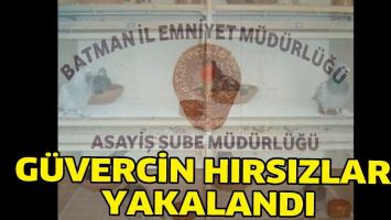 G&Uuml;VERCİN HIRSIZLARI YAKALANDI