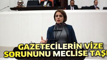 GAZETECİLERİN VİZE SORUNUNU MECLİSE TAŞIDI