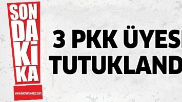 3 PKK ÜYESİ TUTUKLANDI