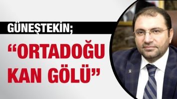 G&Uuml;NEŞTEKİN &ldquo;ORTADOĞU KAN G&Ouml;L&Uuml;&rdquo;