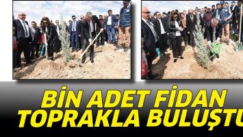 BİN ADET FİDAN, TOPRAKLA BULUŞTU
