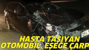 HASTA TAŞIYAN OTOMOBİL, EŞEĞE &Ccedil;ARPTI!