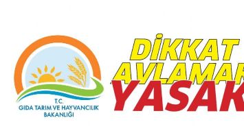 DİKKAT AVLAMAK YASAK!