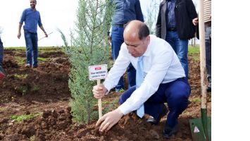 MESİRE ALANINA FİDAN DİKİLDİ
