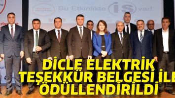 DİCLE ELEKTRİK, TEŞEKK&Uuml;R BELGESİ İLE &Ouml;D&Uuml;LLENDİRİLDİ