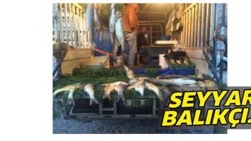 SEYYAR BALIK&Ccedil;I&hellip;