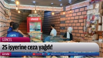 25 işyerine ceza yağdı!