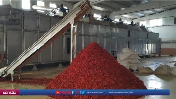 25 &uuml;lkeye 1 milyon dolarlık pul biber ihra&ccedil; edildi
