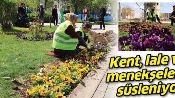 KENT, LALE VE MENEKŞELERLE S&Uuml;SLENİYOR