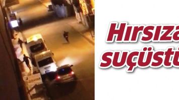HIRSIZA SU&Ccedil;&Uuml;ST&Uuml;!
