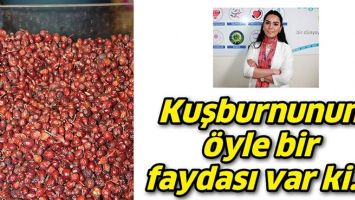 KUŞBURNUNUN &Ouml;YLE BİR FAYDASI VAR Kİ...