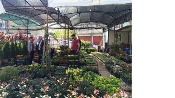 B&Ouml;LGE FİDANCILIKTA BAHAR İNDİRİMİ&hellip;