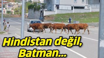 HİNDİSTAN DEĞİL, BATMAN...