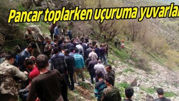 PANCAR TOPLARKEN U&Ccedil;URUMA YUVARLANDI