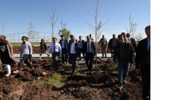 VALİ, MESİRE ALANINI İNCELEDİ