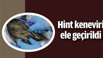 HİNT KENEVİRİ ELE GE&Ccedil;İRİLDİ