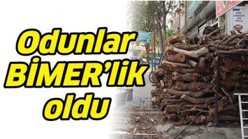 ODUNLAR BİMER'LİK OLDU