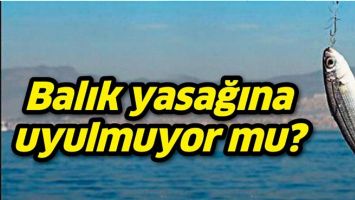 BALIK YASAĞINA UYULMUYOR MU?