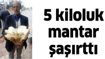 5 KİLOLUK MANTAR ŞAŞIRTTI