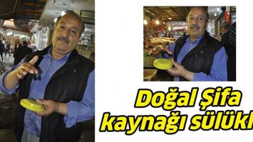 DOĞAL ŞİFA KAYNAĞI S&Uuml;L&Uuml;KLER