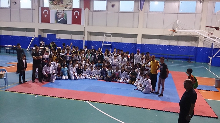 200 TAEKWONDOCU BEŞİRİ&rsquo;DE YARIŞTI