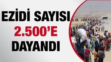 EZİDİ SAYISI 2.500&rsquo;E DAYANDI