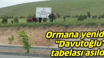 ORMANA YENİDEN &ldquo;DAVUTOĞLU&rdquo; TABELASI ASILDI!