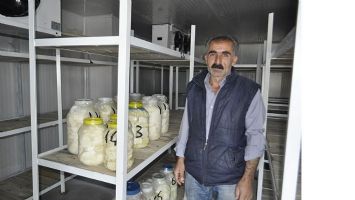 PEYNİRLER, DEPODA G&Uuml;VENDE
