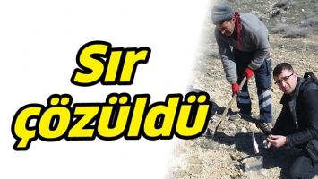 SIR &Ccedil;&Ouml;Z&Uuml;LD&Uuml;