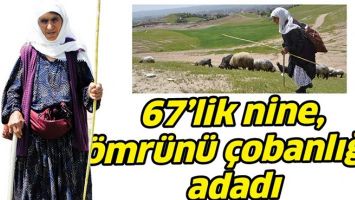 67&rsquo;LİK NİNE, &Ouml;MR&Uuml;N&Uuml; &Ccedil;OBANLIĞA ADADI