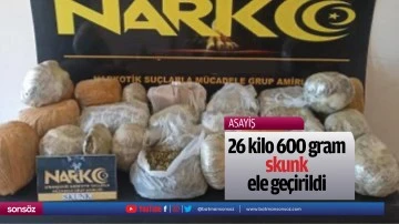 26 kilo 600 gram skunk ele ge&ccedil;irildi